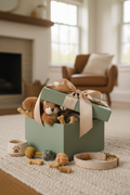 Pet Mystery Box